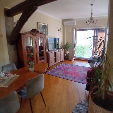 Apartment Baci For 4 Guests 卢布尔雅那 外观 照片