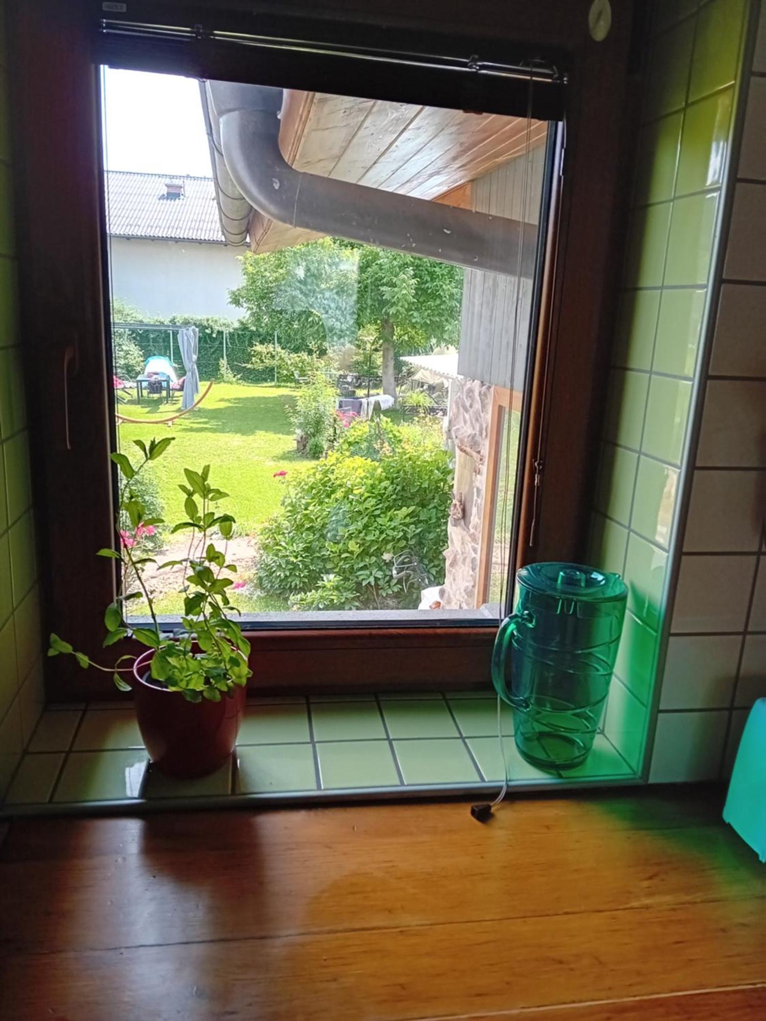 Apartment Baci For 4 Guests 卢布尔雅那 外观 照片