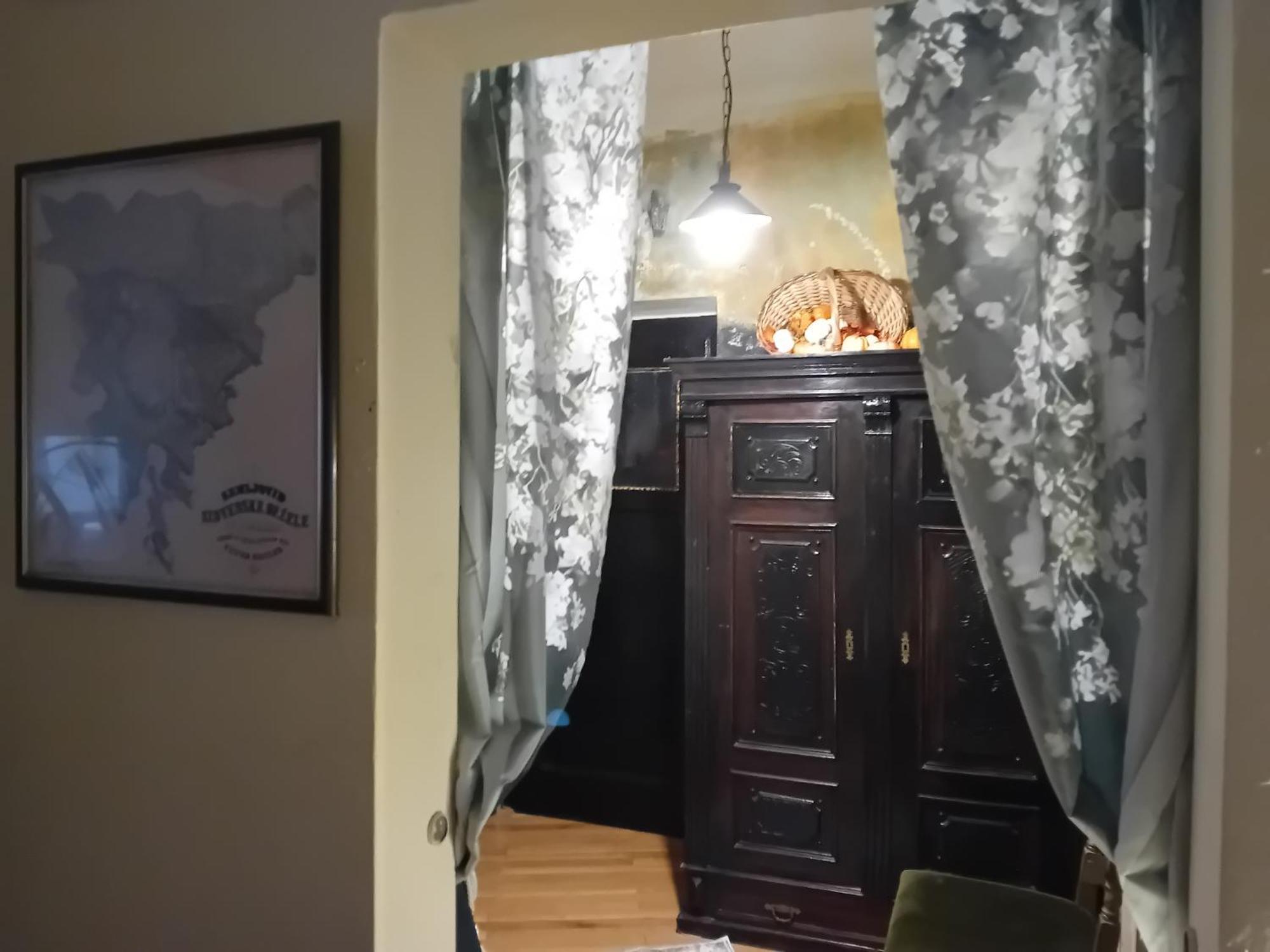 Apartment Baci For 4 Guests 卢布尔雅那 外观 照片