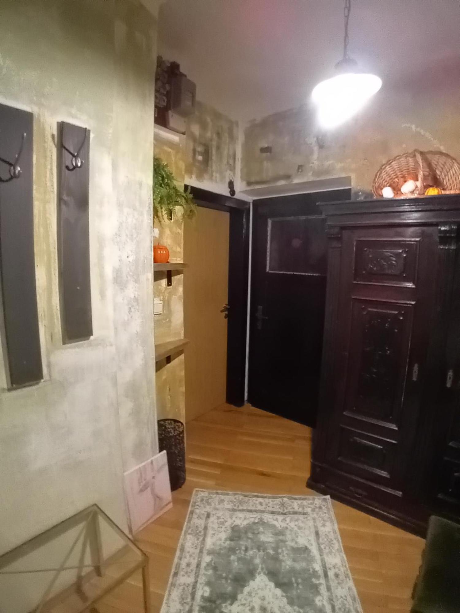 Apartment Baci For 4 Guests 卢布尔雅那 外观 照片